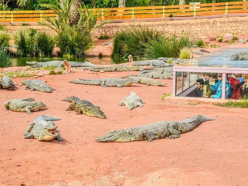 Crocoparc Agadir